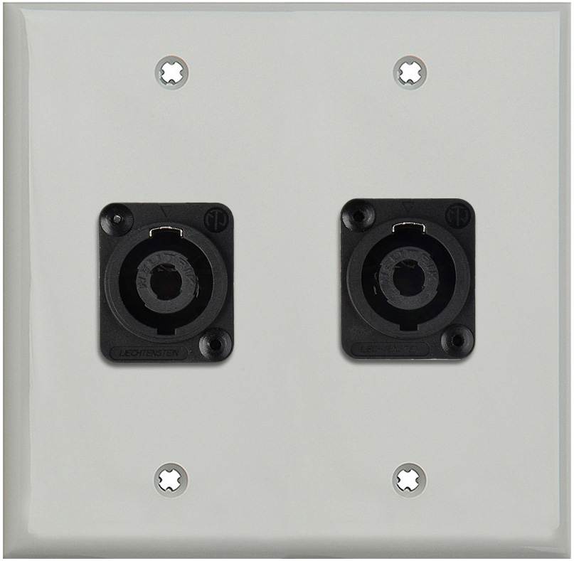 2G Gray Lexan Wall Plate w/2 Neutrik NL4MP -D-Series 4 Pole Speakon