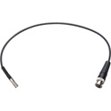 Photo of Laird Belden 4855R Male 12G DIN to Male BNC Cable - 1 Foot