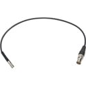 Laird Belden 4855R Male 12G DIN to Female BNC Cable -3 Foot