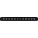 Photo of My Custom Shop 12-Point VGA M-M Feedthru Patch Panel - 1RU