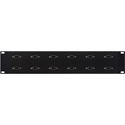 Photo of My Custom Shop 2RU 12-Port RS-422 9-Pin Female-Female Patch Panel
