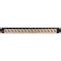 Photo of Canare 161U-BJRU 16 Point 1RU Flushmount BNC Feedthru Panel