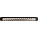 My Custom Shop 16-Port Flushmount Canare F Connector Feed-Through Panel -1RU