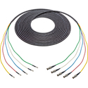 Laird 4855RX5-D-BF-003 Belden 4855RX5 Male 12G DIN to Female 12G BNC 5-Channel Cable - 3 Foot