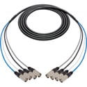 Laird 4C6SNKEC-006 4-Channel Belden Cat6 Ethernet Cable with etherCON Connectors & 18 Inch Fanouts - 6 Foot