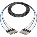 Laird 4-Channel Belden Cat6 Ethernet Cable with etherCON Connectors & 18 Inch Fanouts - 6 Foot