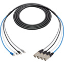 Laird 4C6SNKEC-RJ-006 4-Channel Belden Cat6 Ethernet Cable with etherCON to RJ45 Connectors & 18 Inch Fanouts- 6 Foot