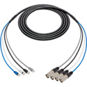Laird 4-Channel Belden Cat6 Ethernet Cable with etherCON to RJ45 Connectors & 18 Inch Fanouts- 6 Foot