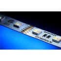 Photo of City Theatrical 5050-24-RGBACW-60-5-20-1 QolorFLEX 5-in-1 LED Lighting Tape