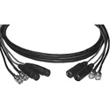 Laird A2V2-SNK-3 Canare A2V2-L Dual XLR M-F & Dual BNC Dub Cable - 3 Foot