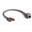 Photo of StudioHub ADAPT-RCAM  RCA Male to RJ-45 Adapter - 8inch