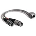 Photo of Studio Hub ADAPT-XLRF XLR Female to RJ-45