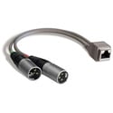 Photo of Studio Hub ADAPT-XLRM XLR Male to RJ-45