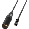 Laird AJ-PWR5-01 4-Pin XLR Male to AJA Type Micro-Con-X 2-Pin Power Cable - 1 Foot
