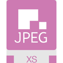 AJA BLVE-JXS01 Perpetual JPEG-XS License for BRIDGE LIVE 12G/BRIDGE LIVE 3G-8 Streaming Solutions - 1 HD Channel