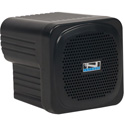 Photo of Anchor AN-MINI Portable PA System with Built-In Dual Wireless Mic Receiver