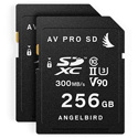 Angelbird ANGEL-MP-EVA1-256SDX2 Match Pack for Panasonic EVA1 - 256 GB / 2 Pack