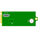 Apantac OG-SDI-HDTV-RM openGear Rear Module for OG-SDI-HDTV-MB - Occupies 2 Slots in the openGear Frame - SDI/BNC/HDMI