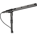 Audio-Technica BP28 14 Inch Large-Diaphragm Line + Gradient Shotgun Microphone