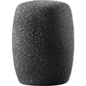 Photo of Audio-Technica AT8112 Windscreen for Microphones