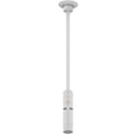 Audix M55WD Dante / AES67 Hanging Ceiling Microphone - White