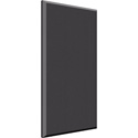 Auralex B224ONY 2 Inch x 2ft x 4ft Beveled Wall ProPanel - Impaling Clips Included - Color - ONYX