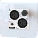 AuviTran AV-WALL-DT4i 2 XLR-F Mic/Line Inputs Wall Plate Plus Dante Stereo 3.5mm Minijack Line In