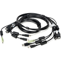 Avocent CBL0108 2x DisplayPort / 2x USB / 1x Audio KVM Cable - 6 Foot