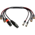 Laird BD-A2V2MON-18IN Multi-Channel 6GSDI Coax & Audio Interface Cable for Blackmagic Video Assist Monitor - 18 Inch