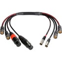 Photo of Laird BD-A2V2MON-18IN Multi-Channel 6GSDI Coax & Audio Interface Cable for Blackmagic Video Assist Monitor - 18 Inch