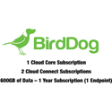 BirdDog 1 Cloud Core Subscription w/ 2 Cloud Connect Subscriptions and 600GB of Data - 1 Year Subscription - 1 Endpoint