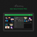 BirdDog BDMVPRO NDI Multiview Pro Streaming Software (Download)