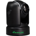 BirdDog Eyes BDP4K 4K Full NDI PTZ Camera with 1-Inch Sony Sensor - Black