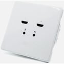 BirdDog BDWPIN NDI Wallplate with Dual Input