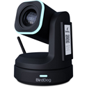 BirdDog X1-30 1080p60 PTZ Camera with 30x Zoom/AI Auto Framing/HDR Bracketing/Halo Tally/Wi-Fi 5/NDI HX3 - Black