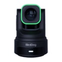 BirdDog BDX4UB X4 Ultra 2160P 4K PTZ Camera with 20x Optical Zoom and WiFi 6 Capability/AI Tracking - Black