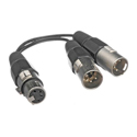 Bescor XLRYM One 4-Pin Female XLR to Two 4-Pin Male XLR Y Cable for Power Applications