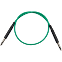 Bittree LPC2405-110 1/4-Inch Long Frame 110 ohm Audio Patch Cable - Green - 24-Inch