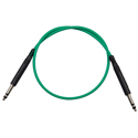Bittree LPC4805-110 1/4-Inch Long Frame 110 Ohm Audio Patch Cable - Green - 48-Inch