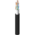 Belden 2142A Category 6A Indoor/Outdoor CMR/CMX F/UTP Cable - Black - 1000 Foot