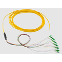 Photo of Belden FT3ST900PR12 FX 900um OM3 ST Fiber Pigtail Kit - 12 Channel Fanout