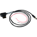 Camplex BLACKJACK 2.5mm DC Plug & Pigtails to P-TAP Y-Cable - 18-Inch