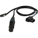 Photo of Camplex BLACKJACK 4-Pin XLR Female & 2.5mm DC Plug to P-TAP Y-Cable - 18-Inch