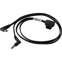 Camplex BLACKJACK Dual DC 2.5mm Plug to P-TAP Y-Cable - 2 Foot