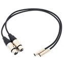 Photo of Blackmagic Design HYPERD/AXLRMINI2 Video Assist Mini XLR cable for the Video Assist 4K - 19.5 in/50cm - 2-Pack