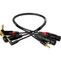 Laird Blackmagic 3-Channel Snake XLR and 3.5mm to 1/4 Inch and 3.5mm Right angle - 2 Foot