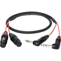 Laird 2-CH RA 1/4-Inch to XLR Blackmagic 2.5K Cinema Camera Audio Breakout Cable - 2 Foot