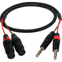 Laird BMD-SPS-XLF-03 2-CH Balanced 1/4In to XLR Blackmagic 2.5K Cinema Camera Audio Breakout Cable - 3 Foot