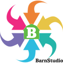 Barnfind BarnStudio Software Management and Configuration Tool for all BarnOne Frames