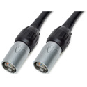 Photo of Laird Extreme Shielded CAT-6 Cable with Canare Cable & Neutrik RJ45 etherCON TOP Connectors - 6 Foot